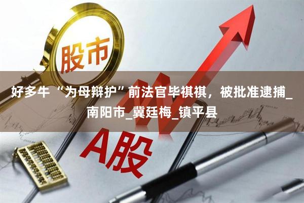 好多牛 “为母辩护”前法官毕祺祺，被批准逮捕_南阳市_冀廷梅_镇平县