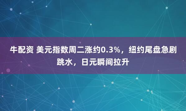 牛配资 美元指数周二涨约0.3%，纽约尾盘急剧跳水，日元瞬间拉升