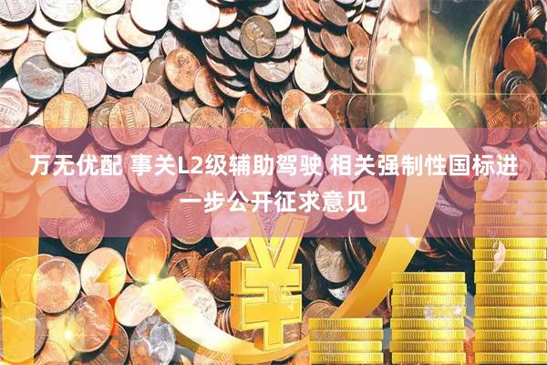 万无优配 事关L2级辅助驾驶 相关强制性国标进一步公开征求意见