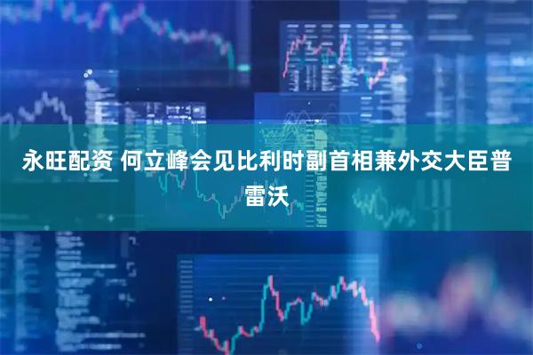 永旺配资 何立峰会见比利时副首相兼外交大臣普雷沃