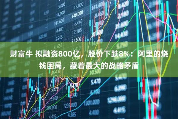 财富牛 拟融资800亿，股价下跌8%：阿里的烧钱困局，藏着最大的战略矛盾